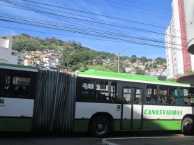 artic canas ainda livre favela centro