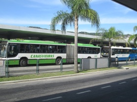 transição buso ticen terminal central artic canasvi verde branco faixa livre vidro preto azul padronizado padrão palmeira árvore z/c fpolis sc catarina